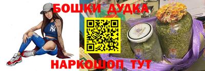 индика Ливны