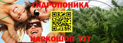 индика Ливны