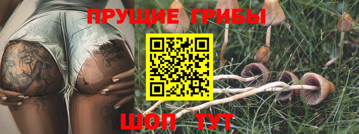 Галлюциногенные грибы MAGIC MUSHROOMS Тулун
